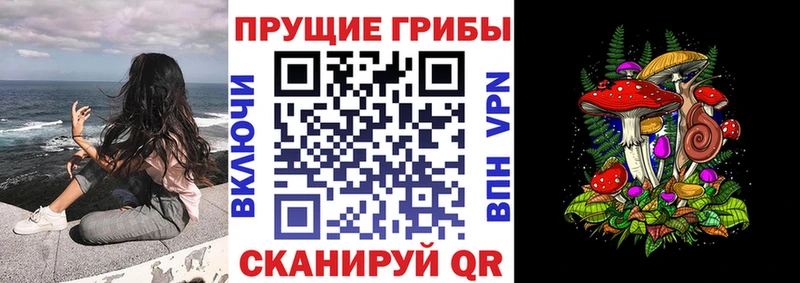 Галлюциногенные грибы GOLDEN TEACHER  Тейково 